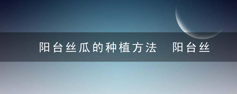 阳台丝瓜的种植方法 阳台丝瓜的种植步骤是什么